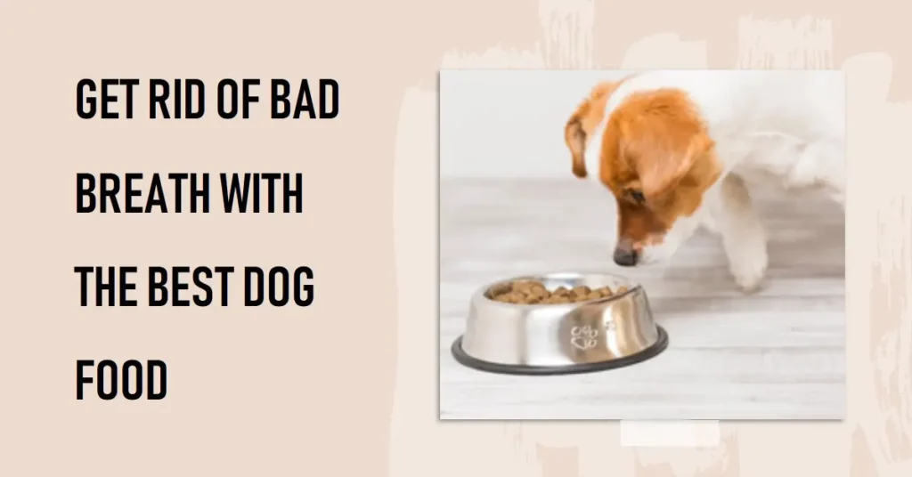 Best Dog Food For Bad Breath