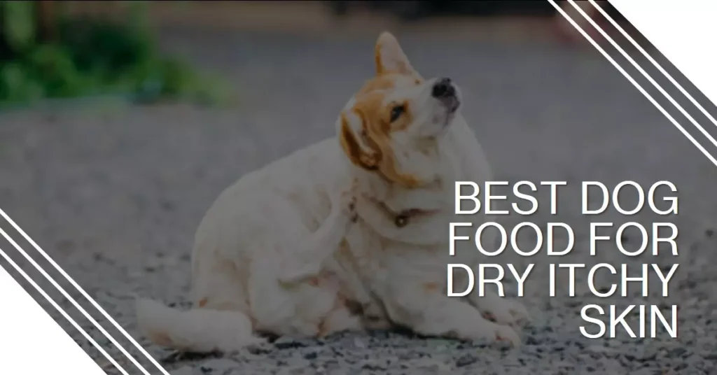 Best Dog Food For Dry Itchy Skin