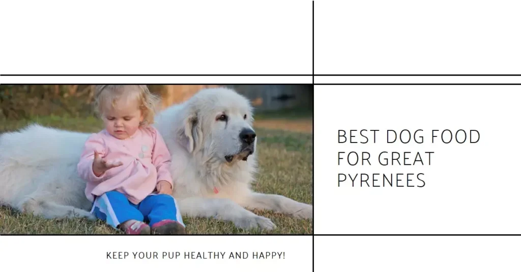 Best Dog Food For Great Pyrenees