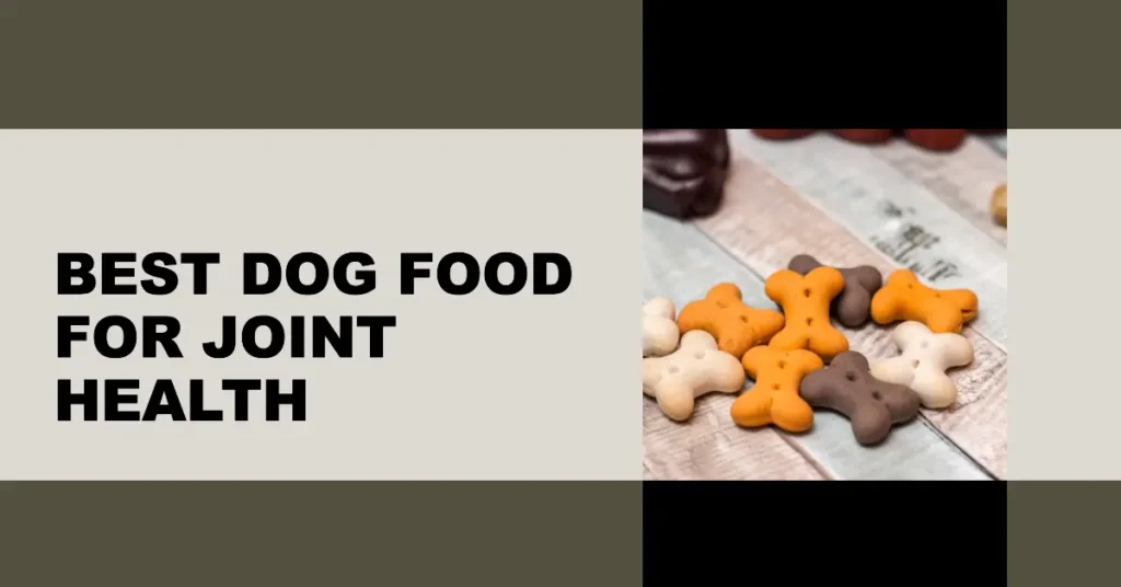 Best Dog Food For Joint Health