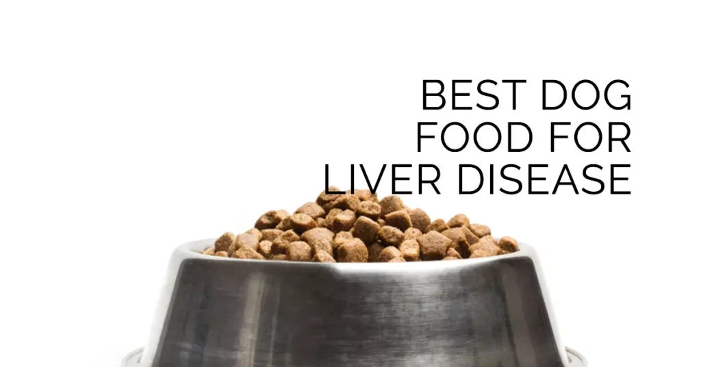Best Dog Food For Liver Disease