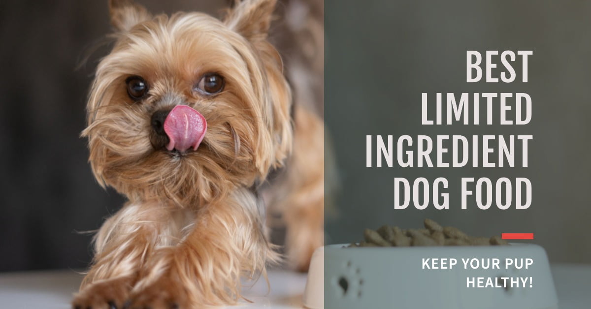 Best Limited Ingredient Dog Food