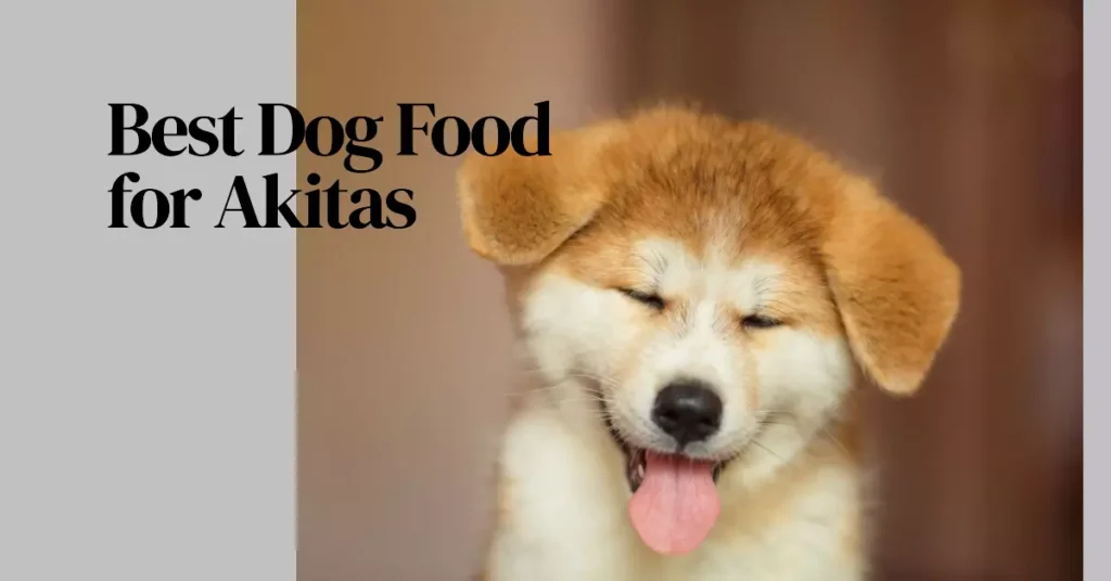 best dog food for akitas