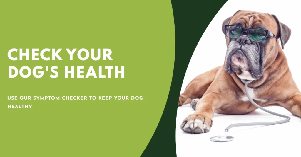 Multiple Symptom Checker to Diagnose Your Dogs Health Problems