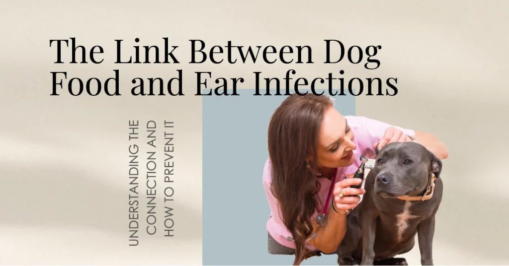 Can Dog Food Cause Ear Infections