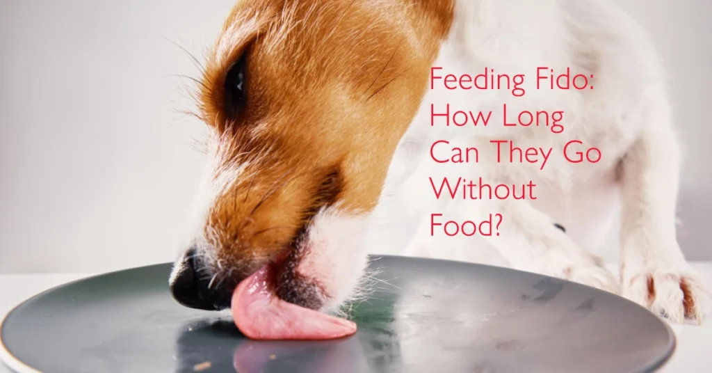 How long would a dog survive without food