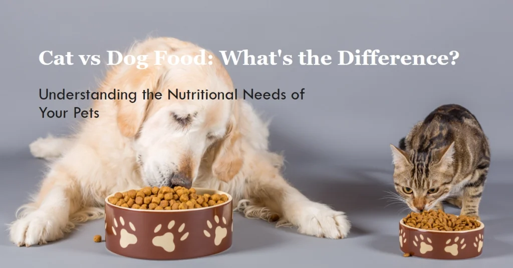 Cat vs Dog Food Whats the Difference